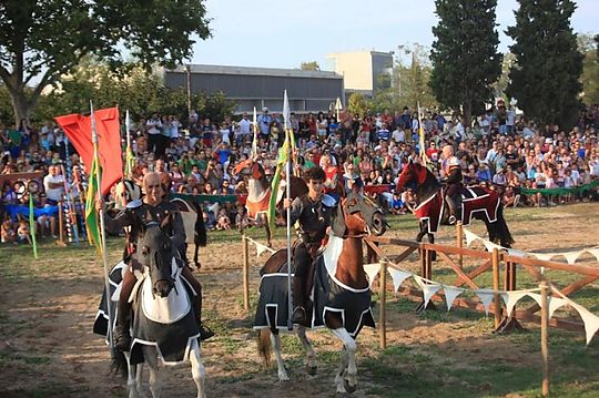 Terre du festival Troubadours 2018